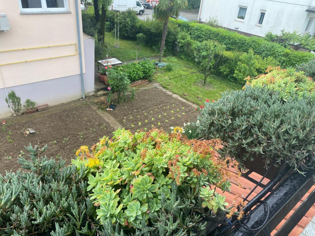 Apartma Magnolija Nova Gorica Eksteriør billede
