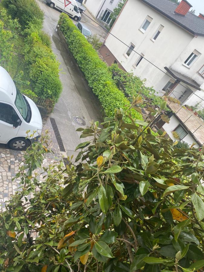 Apartma Magnolija Nova Gorica Eksteriør billede